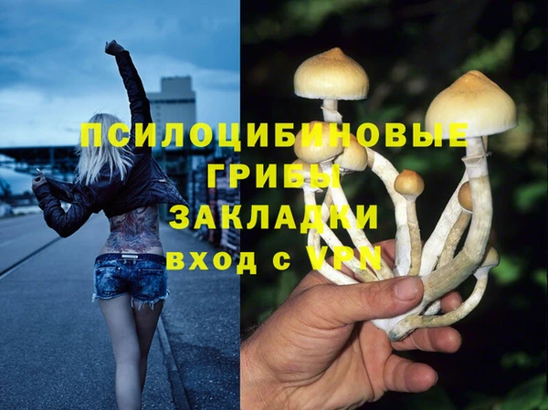 ПСИЛОЦИБИНОВЫЕ ГРИБЫ Лагань