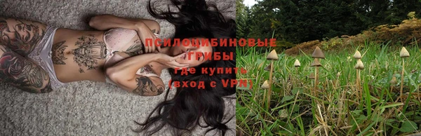 СК Лихославль