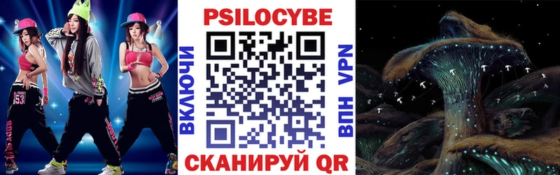 дарнет шоп  Нерехта  Галлюциногенные грибы GOLDEN TEACHER 