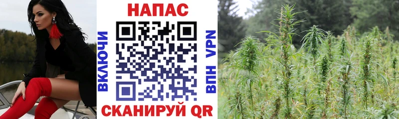 купить закладку  Нерехта  OMG вход  Конопля марихуана 